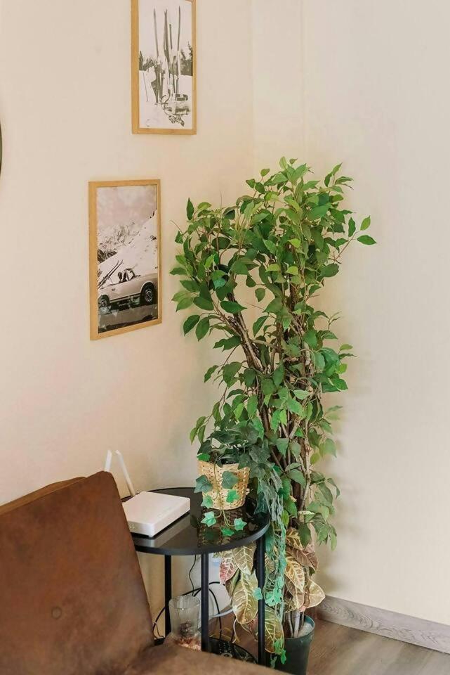 Apartament La Casita Del Arbol Sallent de Gállego Zewnętrze zdjęcie